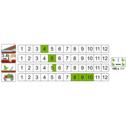 nasiona Dynia olbrzymia Uchiki Kuri pnos63