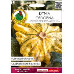 Nasiona Dynia ozd Korona Cierniowa pnos701