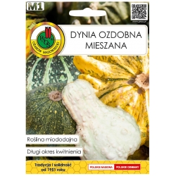 Nasiona Dynia ozdobna mieszana pnos576