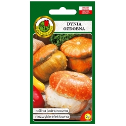 Nasiona Dynia ozd Turecki Turban pnos703