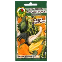 Nasiona Dynia ozd Autumn Wings pnos700
