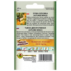 Nasiona Dynia ozd Autumn Wings pnos700