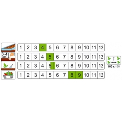 nasiona Dynia piżmowa Butternut pnos64