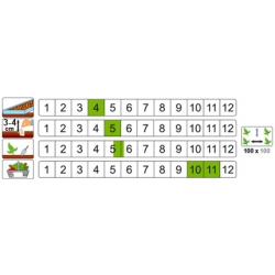 nasiona Dynia piżm Muscade de Provence pnos65