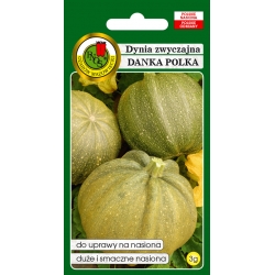 nasiona Dynia zwyczajna Danka Polka pnos67