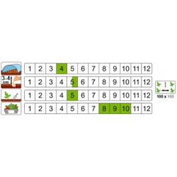 nasiona Dynia zwyczajna Danka Polka pnos67