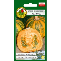 nasiona Dynia zwyczajna bezłupin Junona pnos66