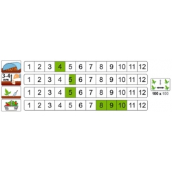 nasiona Dynia zwyczajna bezłupin Junona pnos66