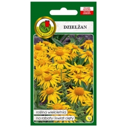 Nasiona Dzielżan żółty pnos704