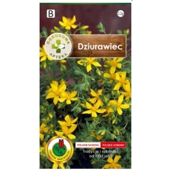 Nasiona Dziurawiec pnos536