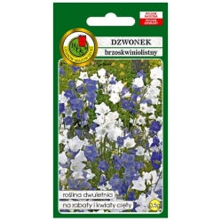 Nasiona Dzwone brzoskwiniolistny pnos709