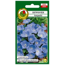 Nasiona Dzwonek karpacki niebieski pnos710