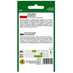 Nasiona Dzwonek karpacki niebieski pnos710