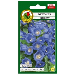 Nasiona Dzwonek ogrod niebieski pnos712