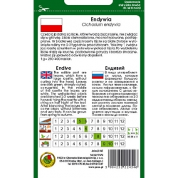 nasiona Endywia kędzierzawa de meaux pnos68