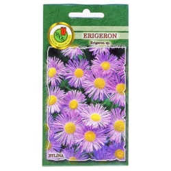 Nasiona Erigeron przymiotno pnos714