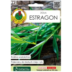 Nasiona Estragon pnos537