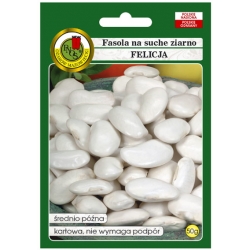 nasiona Fasola na suche nas Felicja pnos71