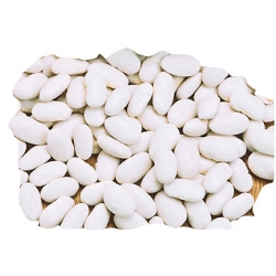 nasiona Fasola na suche nas Aura pnos69