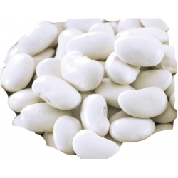 nasiona Fasola na suche nas Eureka pnos70