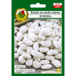 nasiona Fasola na suche nas Eureka pnos70