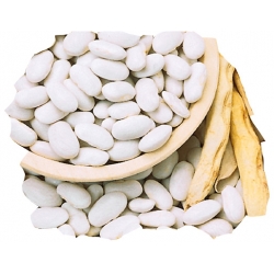 nasiona Fasola na suche nas Igołomska pnos72