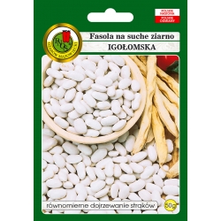 nasiona Fasola na suche nas Igołomska pnos72