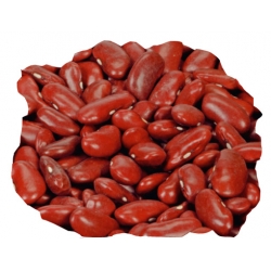 nasiona Fasola na suche nasiona Kreacja pnos74