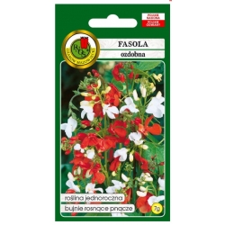 Nasiona Fasola ozdobna Espagne pnos717