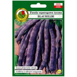 nasiona Fasola szparagowa Blauhilde pnos100