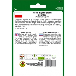 nasiona Fasola szparagowa Blauhilde pnos100