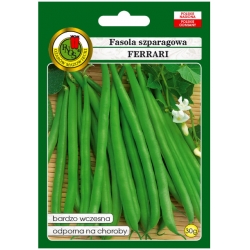 nasiona Fasola szparag zielona Ferrari pnos78