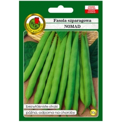nasiona Fasola szparag zielona Nomad pnos80
