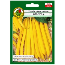 nasiona Fasola szparag żółta Galopka pnos86