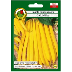 nasiona Fasola szparag żółta Galopka pnos86