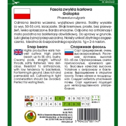 nasiona Fasola szparag żółta Galopka pnos86