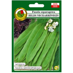 nasiona Fasola szparag Hilds Neckark pnos101