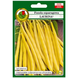 nasiona Fasola szparag żółta Laurina pnos90