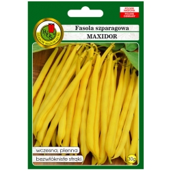 nasiona Fasola szparag żółta Maxidor pnos92
