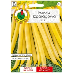 nasiona Fasola szparag żółta Polka pnos93