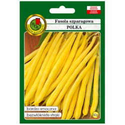 nasiona Fasola szparag żółta Polka pnos94