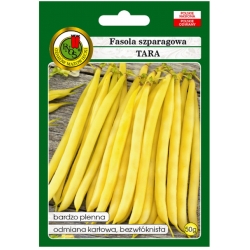 nasiona Fasola szparag żółta Tara pnos97