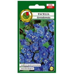 Nasiona Facelia dzwonkowata pnos716