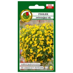 Nasiona Fiołek zwieszający pnos720