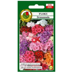 Nasiona Floks Drummonda miesz pnos723