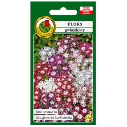Nasiona Floks gwiaździsty pnos724