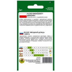 Nasiona Floks gwiaździsty pnos724