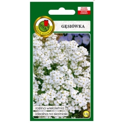 Nasiona Gęsiówka biała pnos728