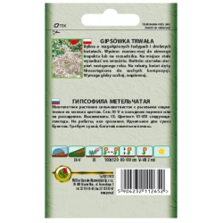 Nasiona Gipsówka trwała biała pnos730