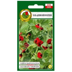 Nasiona Głąbigroszek szkarłatny pnos731